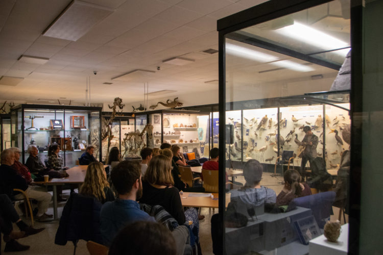 The Bell Pettigrew Sessions