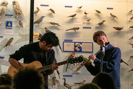 The Bell Pettigrew Sessions