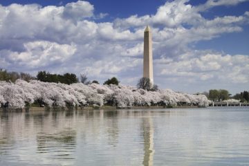 Washington D.C. Alumni Club -- November Happy Hour