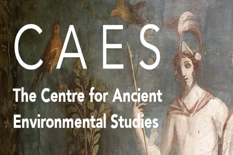 Life on the edge of the desert: religious and economic landscapes in late antique Egypt