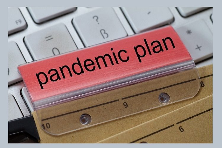 Public Health and Pandemics: Global and Regional Experiences