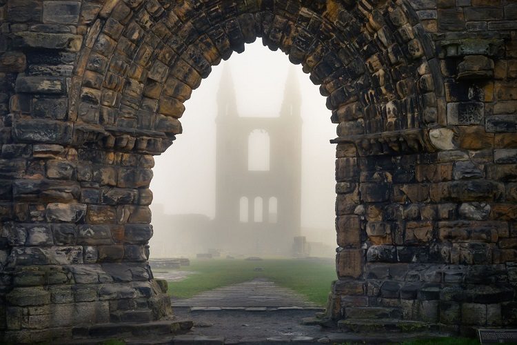 Netherlands Club: Online Halloween Party