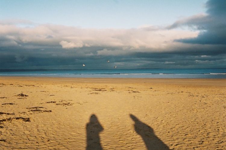 Walk with Transition