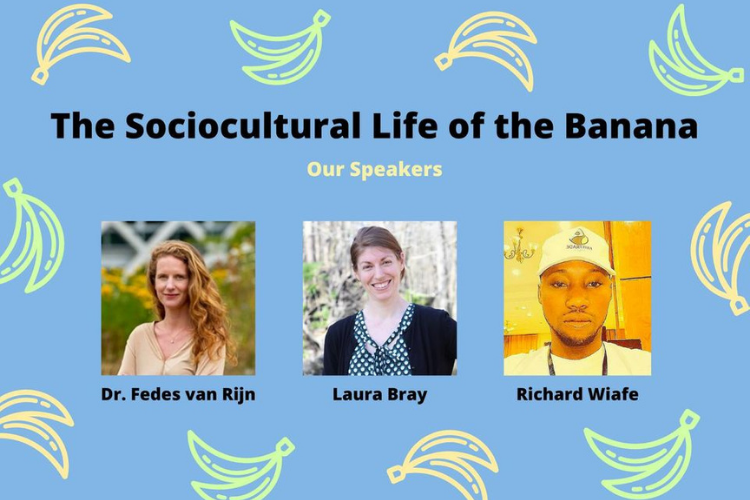Exploring the Sociocultural Life of the Banana