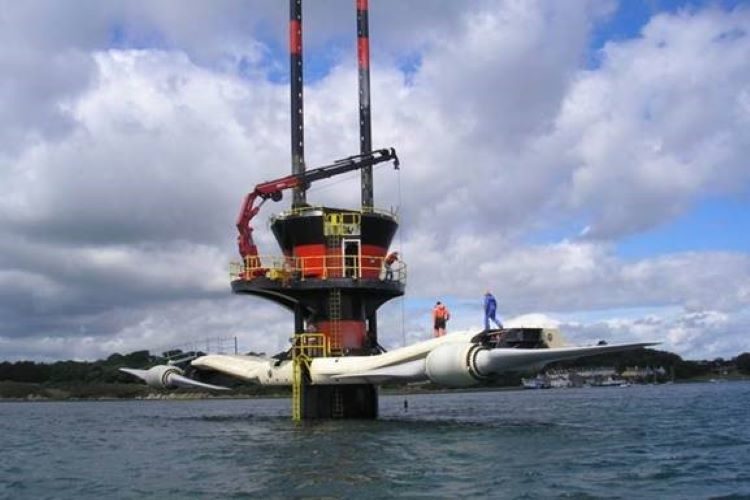 Energy Café on marine mammals and marine renewables: reconciling environmental risks