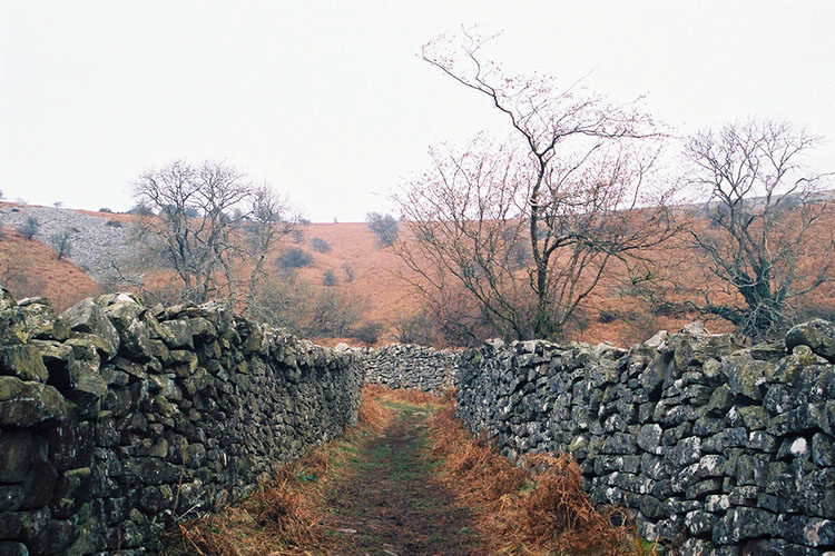 Archaeologies of animality: how animals shaped Iron Age and Romano-British landscapes
