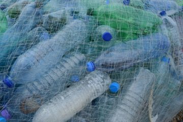 plastic bottles in a fishing net