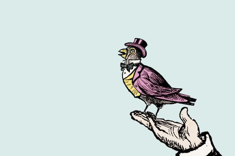Pop-up Opera