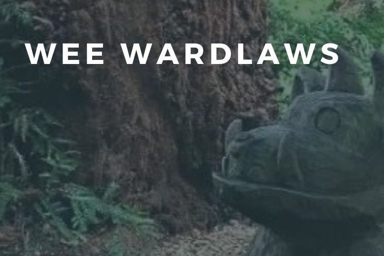 Wee Wardlaws: Weather