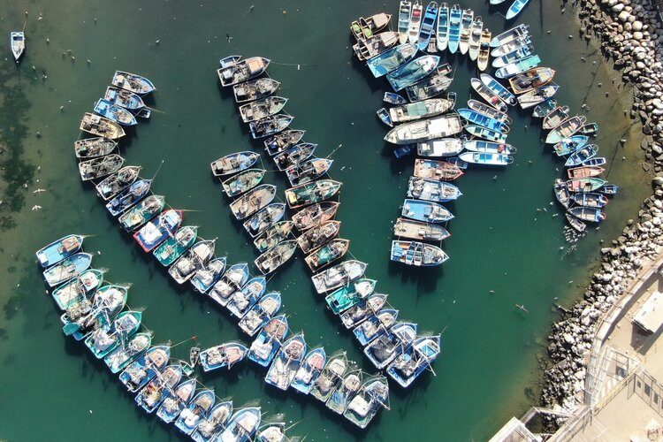 Sustainable Livelihoods Symposium