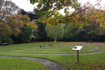 Planting for the Planet