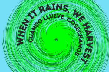 East Sands Beach Clean Up