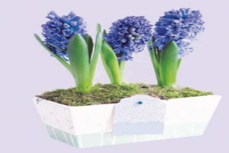 Keeping Up Appearances