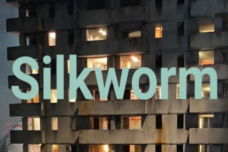 Silkworm – Friday 29 July