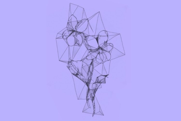 Violetwise – a poetry reading of new work, in celebration of Callie Gardner