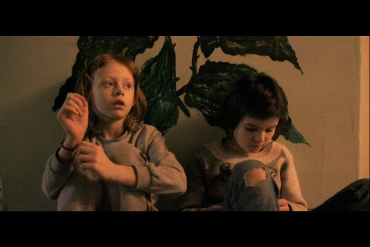 A House Made of Splinters