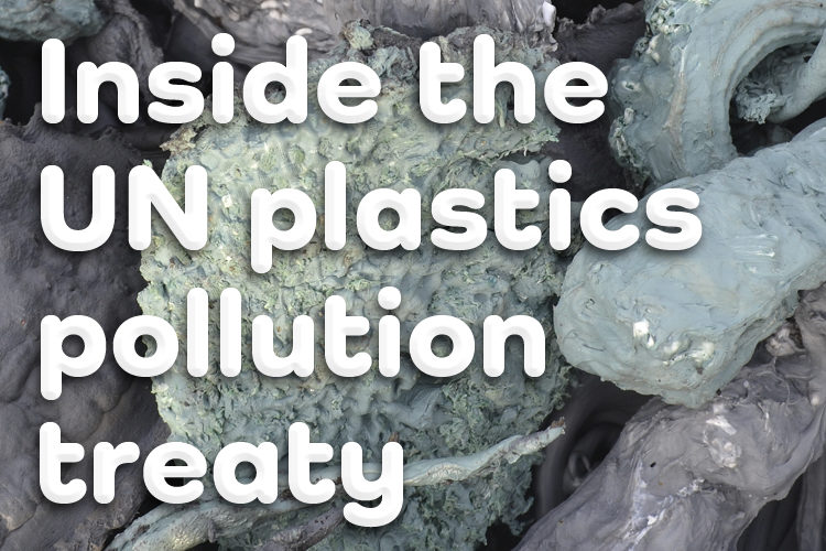 Inside the UN plastics pollution treaty: working at the policy, research, and advocacy interface