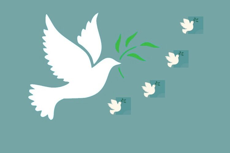 ‘How do you visualise peace?' with local MP Chris Law