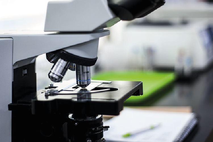 Saints Talk: Dr Robert Hammond