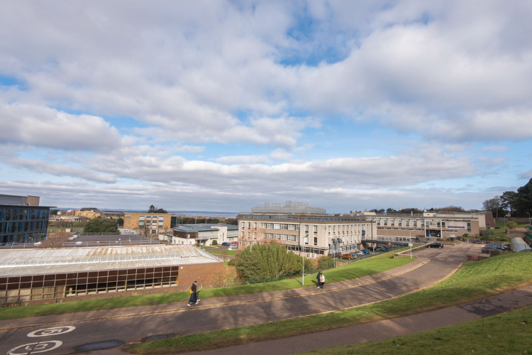 Tips for scheduling meetings