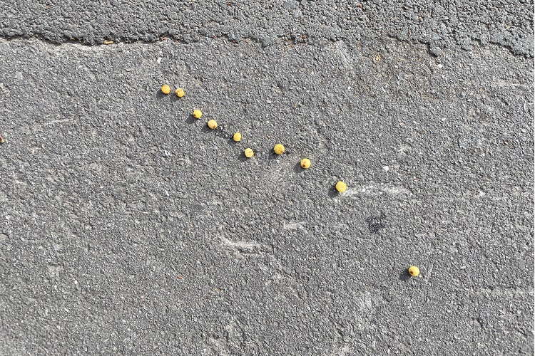 Mariupol Memory Park