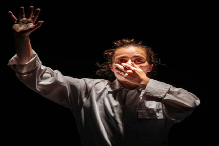 Burnt out: one Australian's experience of our changing climate