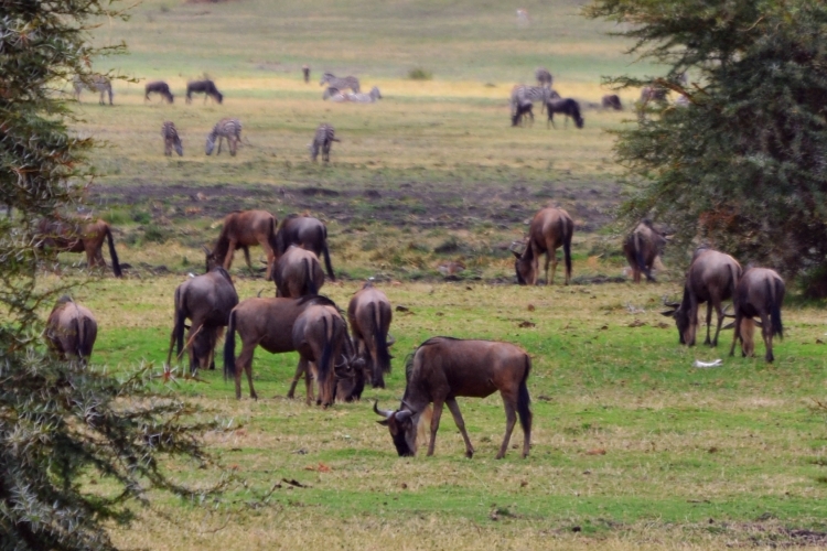 JJ Valletta Memorial Lecture 2023