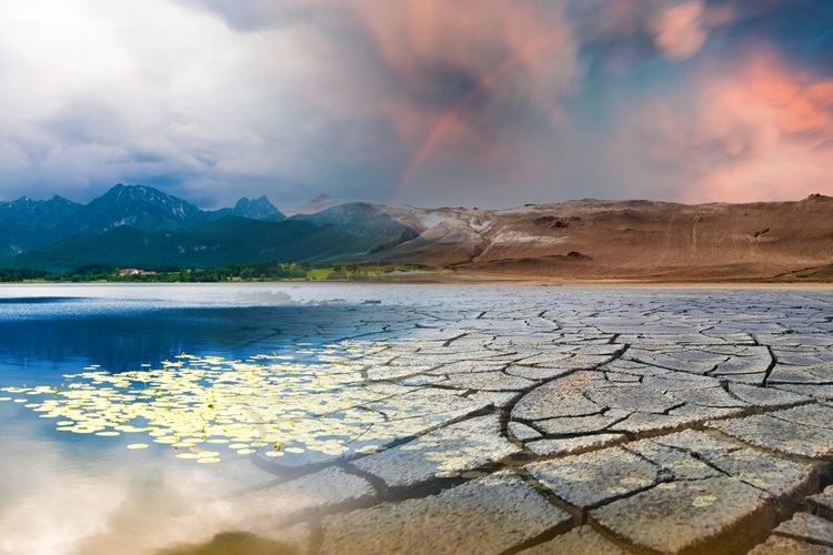 Adapting to climate change: effective crisis management strategies