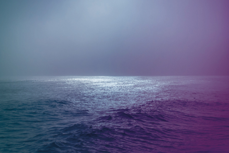 SCO 23/24: Time and Tides with Pekka Kuusisto