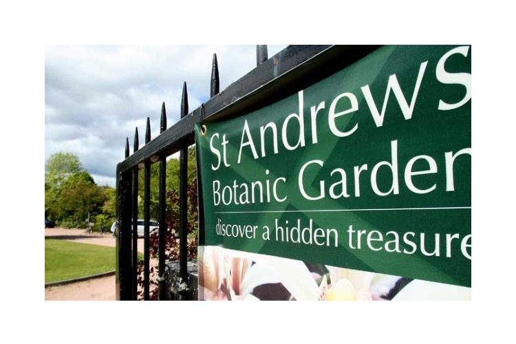 Museum Holiday Workshop