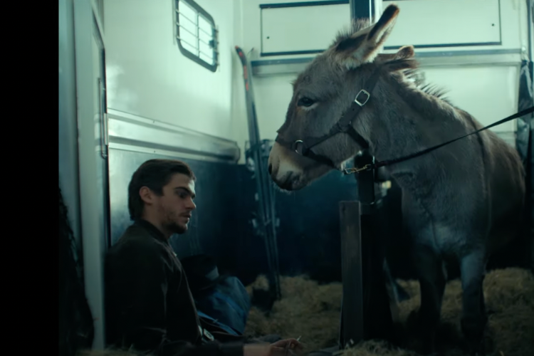 St Andrews Green Film Festival present EO (15)