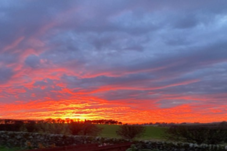 Poetry in translation: On Yellow Evenings