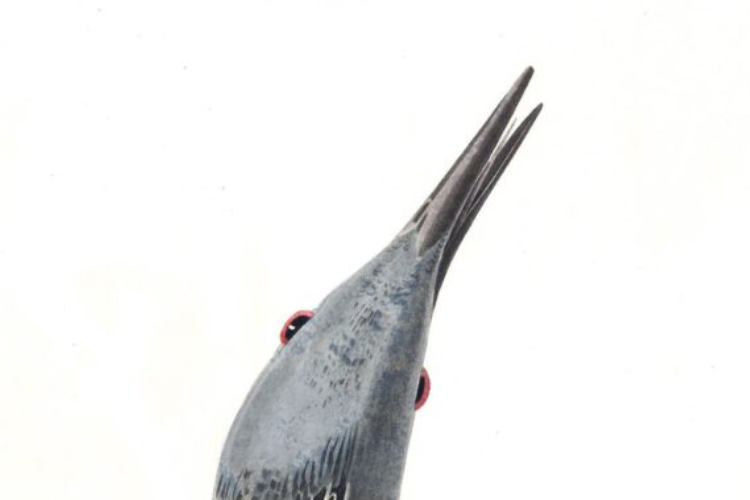 Centre for Energy Ethics: Long Field Loop by Rebecca Sharp