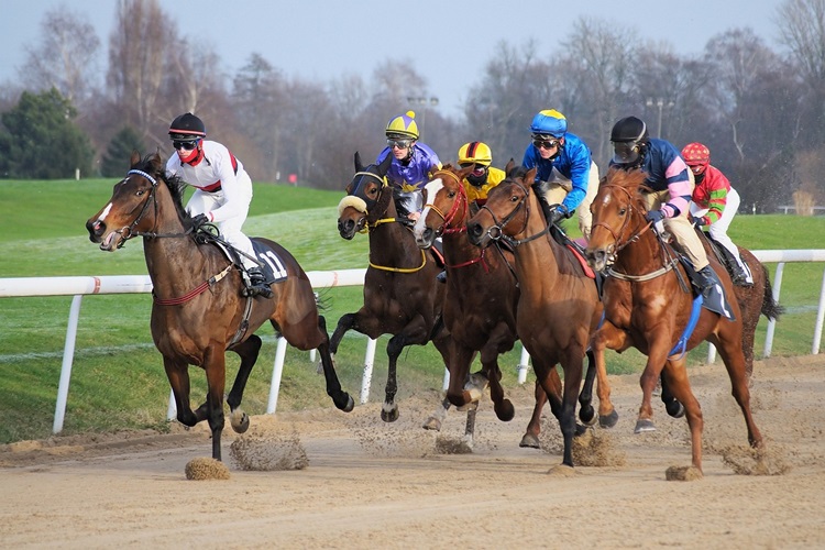 Volunteer Zambia Fundraising Race Night
