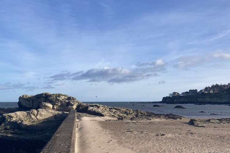 The Future of German Screen Studies Conference