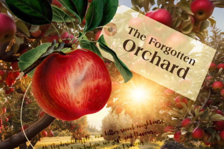 The Forgotten Orchard
