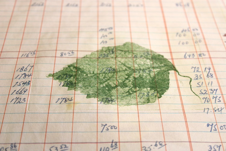 A Hymn to the Banished: Annalee Davis in conversation