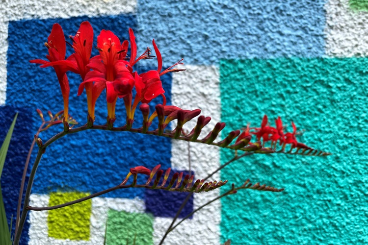 Colour-field: art meets science