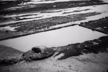 Where earth ends: plugging into nature