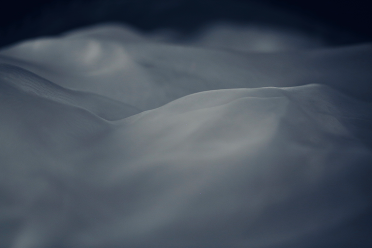 Conversations in Breath