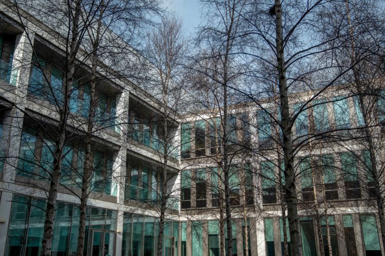 Dynamic Stage: Research Impact at St Andrews