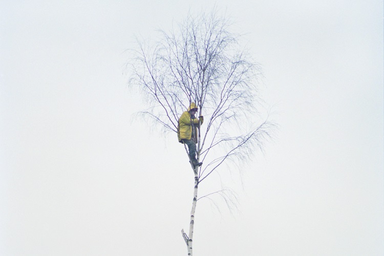Until the Last Oak Falls: British direct action environmental protests 1995-1999