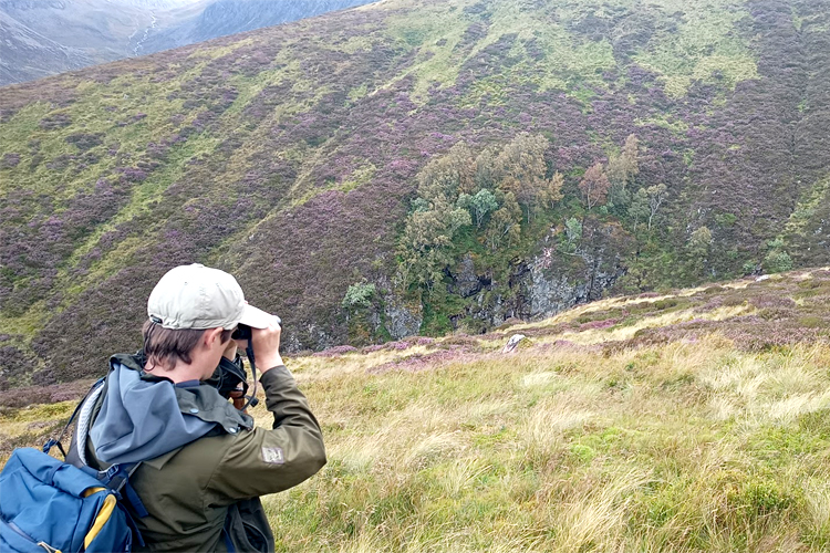 Transdisciplinary approaches to sustainable landscapes