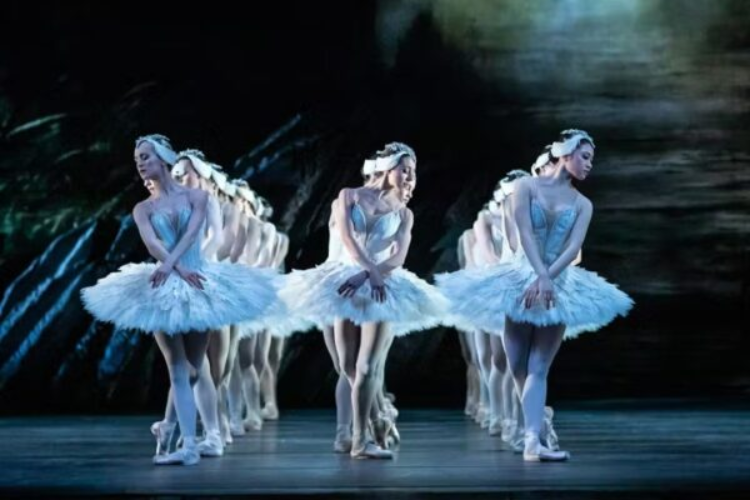 Royal Opera and Ballet 24/25: Swan Lake