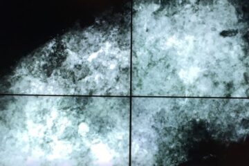 Synthetic Forever: White Suits, Fatbergs, and the Breathing Museum