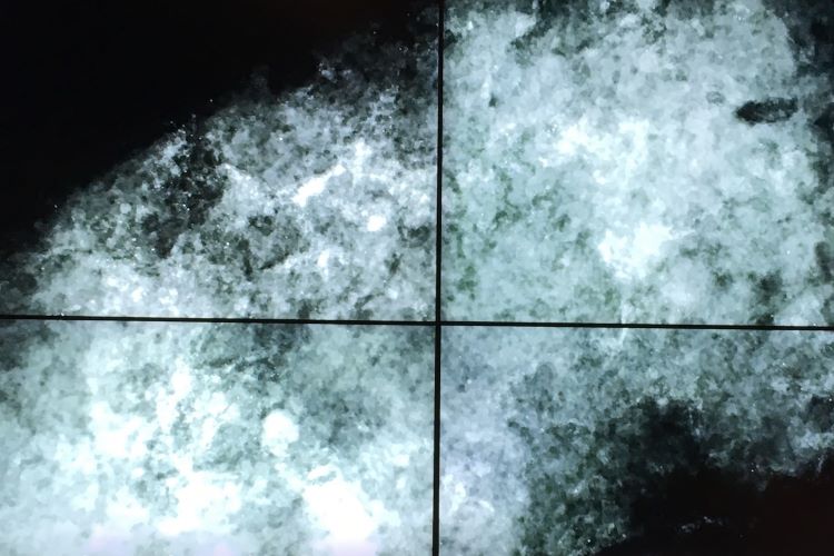 Synthetic Forever: White Suits, Fatbergs, and the Breathing Museum