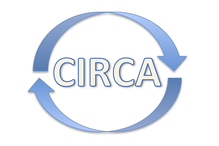 Centre for Interdisciplinary Research in Computational Algebra (CIRCA) Seminar