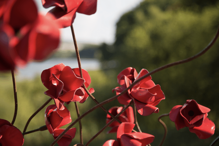 St Salvator's Chapel Choir: In Remembrance