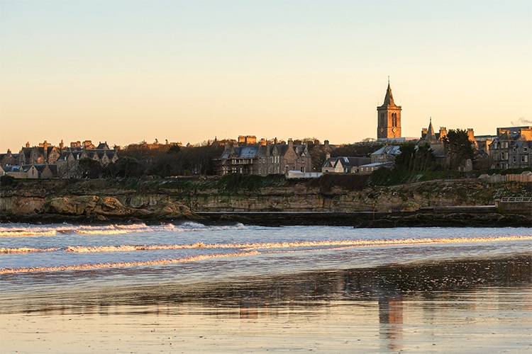 Will Writing Webinar