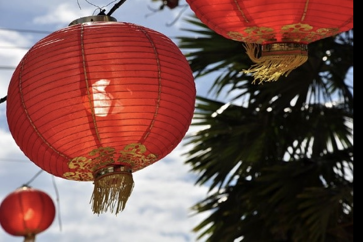 Lunar New Year Festival